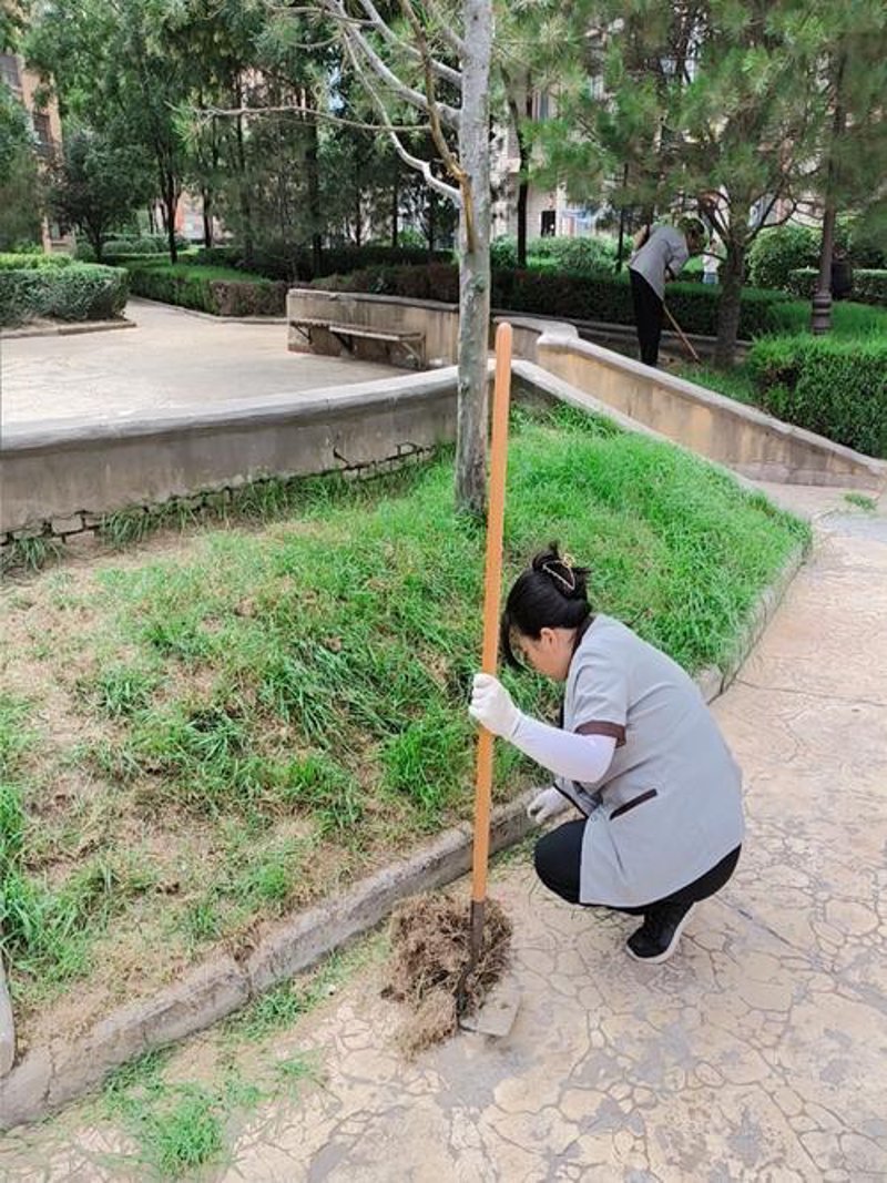 物业行业的新篇章：苏州物业公司的发展与挑战